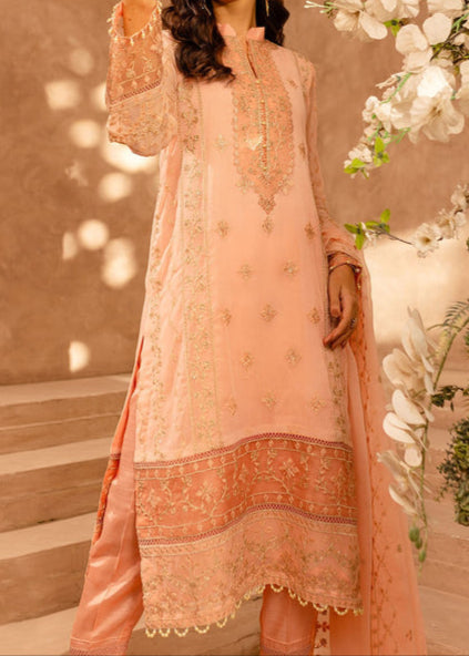 PEACH DELIGHT– Embroidered Chiffon Unstitched 3Pc Suit.
