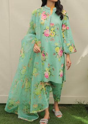 Grace S223 - printed 3pc Kataan silk dress with printed organza dupatta.