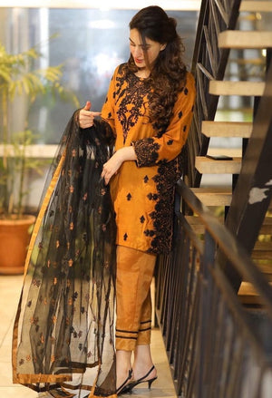 Grace W84-  Embroidered 3pc silk dress with embroidered organza dupatta.